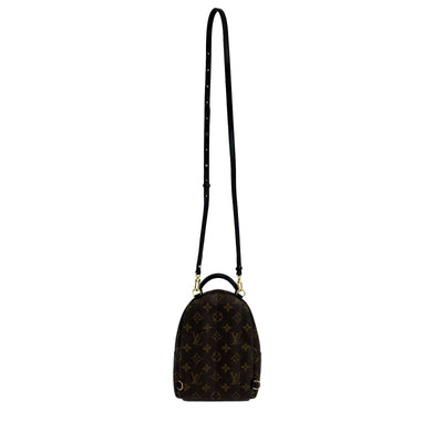 Louis Vuitton - Excellent - Mini Palm Springs - Brown - Crossbody / Backpack